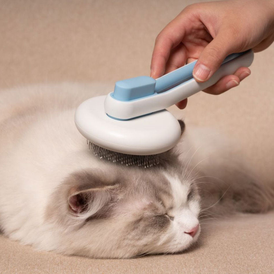 A long-haired cat relaxing while being brushed with a light blue and white ergonomic deshedding comb.