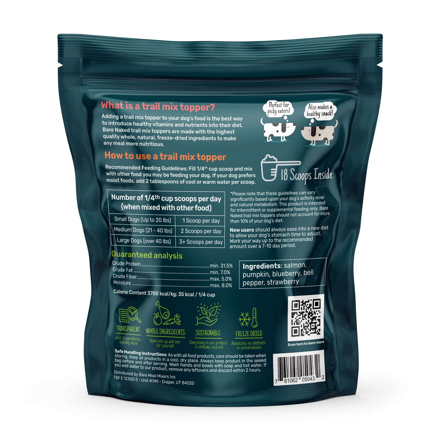 Back view of freeze-dried salmon dog meal mixer pouch displaying feeding instructions, ingredient list, and guaranteed analysis on a clean white background