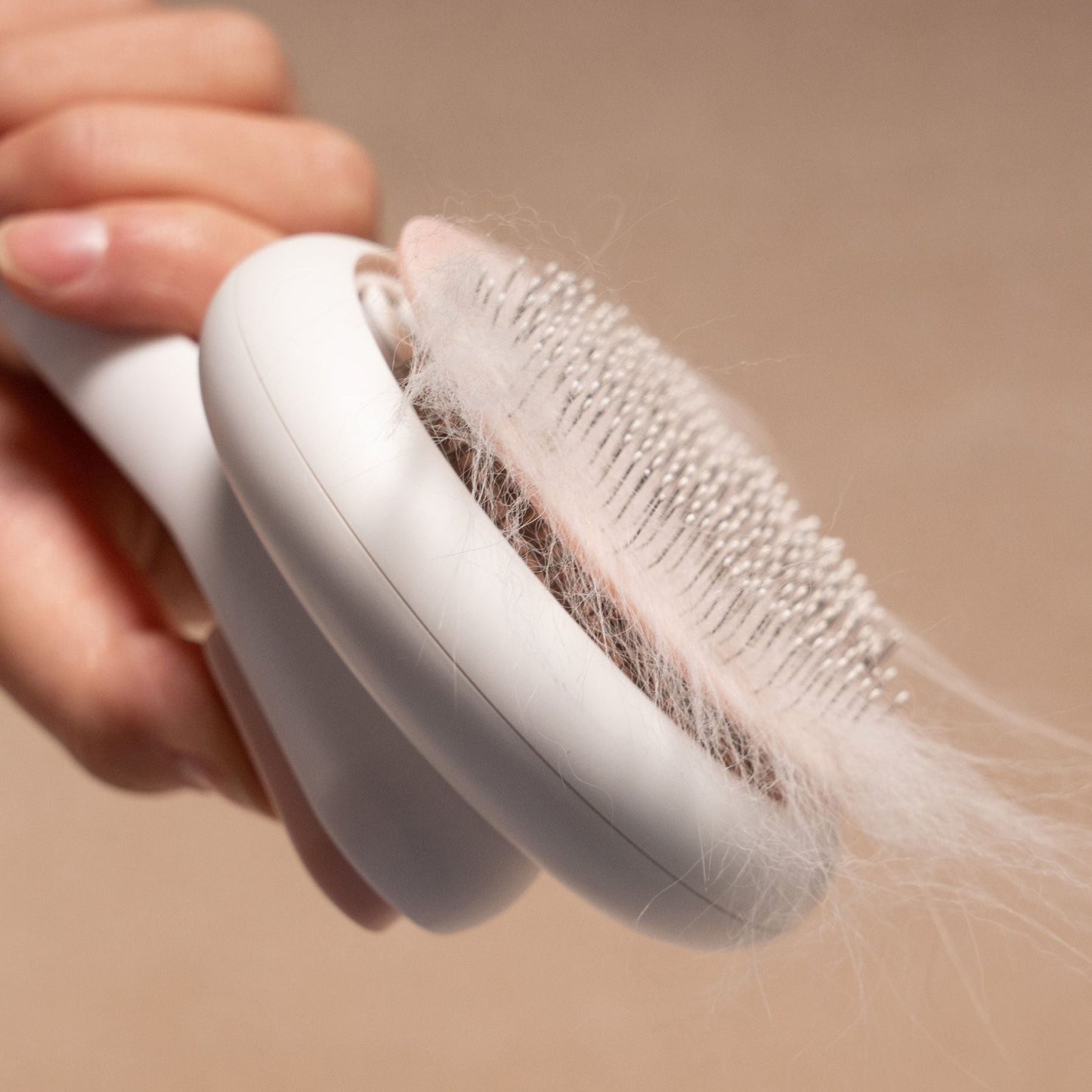 Close-up of a grooming deshedder comb with fine metal bristles densely packed with loose white pet hair.
